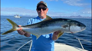 Yellowtail and Bottom Fishing with the Colburn Brothers in San Carlos Mexico [upl. by Madelene648]