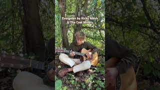 Evergreen by Richy Mitch amp The Coal Miners evergreen guitar richymitchandthecoalminers [upl. by Arianne327]