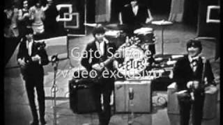 The American Beetles  Live 1964  Mean woman blues  Clip TV Canal 9  Buenos Aires  Argentina [upl. by Rats]