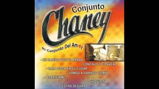 Estas Segura  Conjunto Chaney [upl. by Erline464]