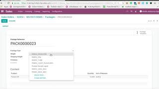 Ship Products to Delivery Packages  Odoo Test case [upl. by Marquardt]