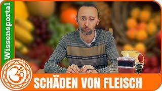 Schäden vom Fleischkonsum aus Sicht der Biochemie und Biologie Jurij A Frolov [upl. by Barby]