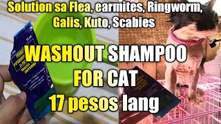 Washout shampoo procedure para sa Pusa [upl. by Nehgem]