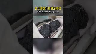 魚子醬為什麼賣這麼貴，需要耗費多少年時間，又是怎樣的製作工藝！nature wildlife animal wildanimals animals 猛獸世界 動物 [upl. by Gladdy]