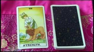 Strength Major Arcana 8  Meaning and Interpretation in a Tarot Reading [upl. by Primaveria]