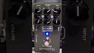 M81 bass preamp pedal with Direct Output [upl. by Hurwitz703]