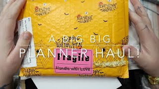 A BIG BIG PLANNER HAUL [upl. by Ailehpo551]