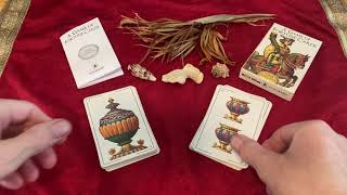 Playing Scopa with quotA Game of Fortune Cardsquot deck by Lo Scarabeo A very popular Italian card game [upl. by Iznik]