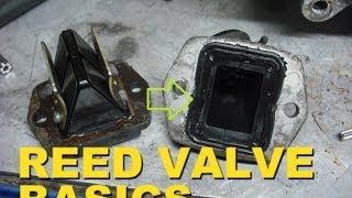 Reed Valve Basics [upl. by Uaeb]