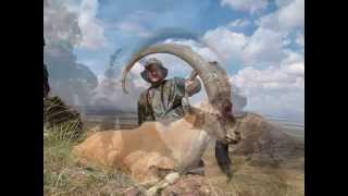 Ibex Hunt in New Mexico [upl. by Charlet]