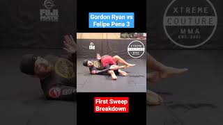 Gordon Ryan vs Felipe Pena 3  First Sweep Breakdown [upl. by Nahaj96]