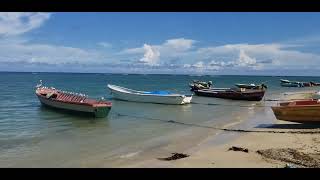 Falmouth Jamaica Fishing 🎣 Village fishing falmouthjamaica village [upl. by Karil202]