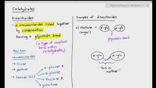 24 Disaccharides  Maltose amp Sucrose Cambridge International AS amp A Level Biology [upl. by Llehsal472]