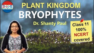 Bryophytes Plant kingdom [upl. by Nnek]