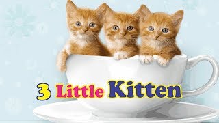 Three Little Kitten Lyrics  Best English Song For Teachers [upl. by Vanda]