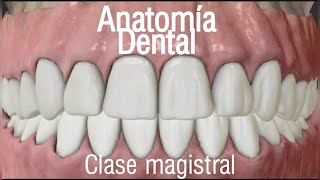 Anatomía dental  clase magistral virtual [upl. by Eidnac]