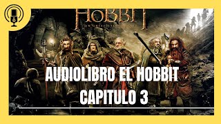 Audiolibro El Hobbit Capitulo 3 [upl. by Primaveria17]