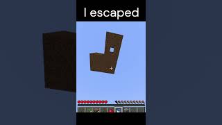 He escaped minecraft viralvideo skyblock minecraftmemes dream waterbucketclutch viral [upl. by Elmira]