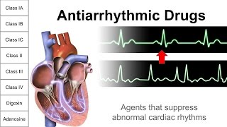 Antiarrhythmic Drugs [upl. by Aceber]