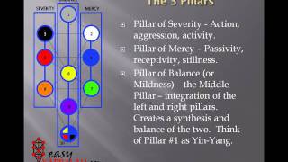 Tree of Life Basics [upl. by Nyrhtac]