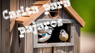 Cómo hacer una casa para pájaros Build House Bird reciclaycrea ecocasitas refugioparapajaros [upl. by Kylen555]