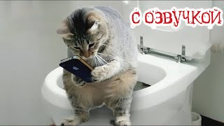 Приколы с котами С ОЗВУЧКОЙ  СМЕШНЫЕ КОТЫ  СМЕШНЫЕ ЖИВОТНЫЕ  1 час смеха [upl. by Etyak]