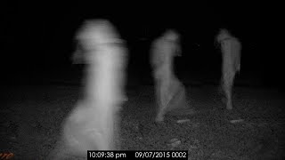 5 Disturbing Videos Caught by Campers in the Woods [upl. by Yun]