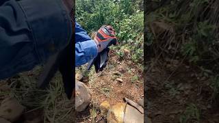 Safely Shaping and Handling Stone Tools stone scythe sharpedge triangle safety [upl. by Derick]