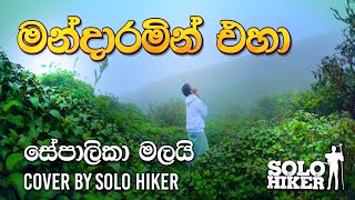 සේපාලිකා මලයි Cover By Solo Hiker  sepalika Malai  මන්දාරමින් එහා  Sinhala Cover Song  SoloHiker [upl. by Odelle]