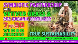 7 of 30 SYMBIOTIC RELATIONSHIP SERIES on SUSTAINABLE ORGANIC PALM OIL TREE PLANTATIONS TECHNOLOGY 11 [upl. by Onej]