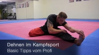 Dehnen im Kampfsport  Basic Tipps vom Profi [upl. by Eibber]