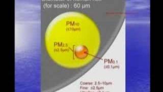 Il particolato e le nanoparticelle Morire a norma di legge [upl. by Rahab]