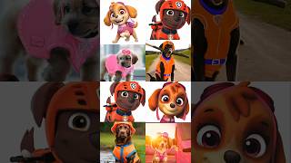 Paw patrol In Real Life pawpatrol [upl. by Drawde]