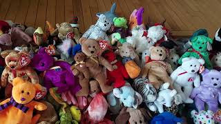 My Beanie Baby Collection Updated [upl. by Winifield]