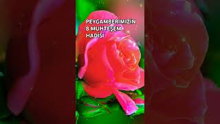 ALLAHÜMME SALLİ ALA SEYYİDİNA MUHAMMED 🕋🕌🤲🏻👆🏻 hadis allah kafi islamicstatus amin islamicvideo [upl. by Hamforrd]