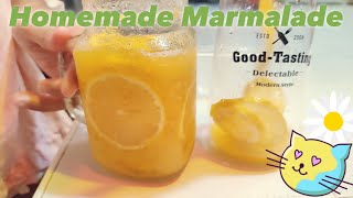 Lemon amp Dalandan Orange Marmalade Recipe ASMR [upl. by Ynnep]