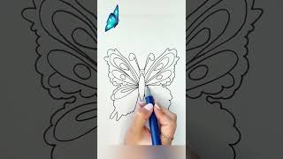 How to Draw a Beautiful Butterfly [upl. by Panthea]