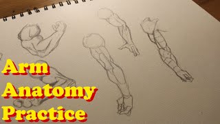 THIS is HOW I Practice Drawing Arms [upl. by Rieth896]