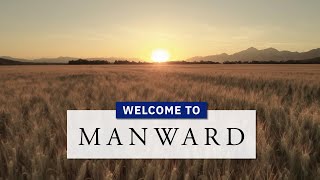 Welcome to Manward [upl. by Iliam562]