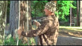 4 Basic Knots for Tree Work [upl. by Aikaj]