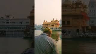 Ek tera hi darbas Sacha shorts amritsar ytshorts [upl. by Hakym751]