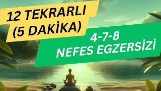 478 NEFES TEKNİĞİ  12 DEFA  Nefes Egzersizleri Nasıl Yapılır  Nefes Egzersizleri Meditasyon [upl. by Eeldivad]