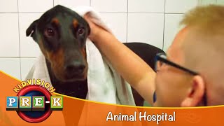 Animal Hospital  Virtual Field Trip  KidVision PreK [upl. by Salkcin]