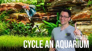 How to Cycle a Planted Aquarium  The Nitrogen Cycle in the Fish Tank  EP2 Planted Tank Overview [upl. by Adao]