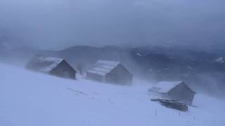 💨 Winter Storm Ambience with Icy Howling Wind Sounds for Sleeping Relaxing and Studying Background [upl. by Mcconaghy]