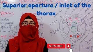 Superior aperture of thorax  inlet of the thorax  boundaries  plane  contents  thorax anatomy [upl. by Chally]