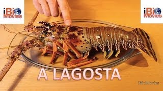 LAGOSTA  Uma delícia de Conhecimento The Lobster  a Delightful Knowledge English Subtiltles [upl. by Clarance]