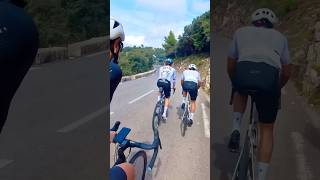 Dream ride with Tadej Pogacar amp Carlos Sainz 😱 World Champion amp F1 Driver 🤯 cycling cyclinglife [upl. by Hcirteid]