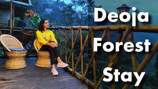 Deoja Forest Stay Darjeeling  Offbeat North Bengal  North Bengal [upl. by Nedac]