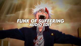 funk of suffering br funk  SXID「 edit audio 」 [upl. by Nalad]